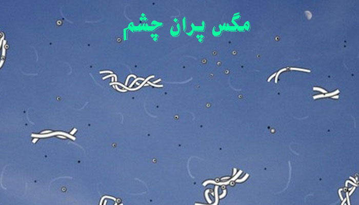 مگس پران
