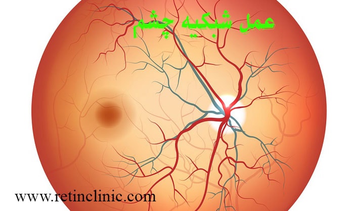 عمل شبکیه چشم
